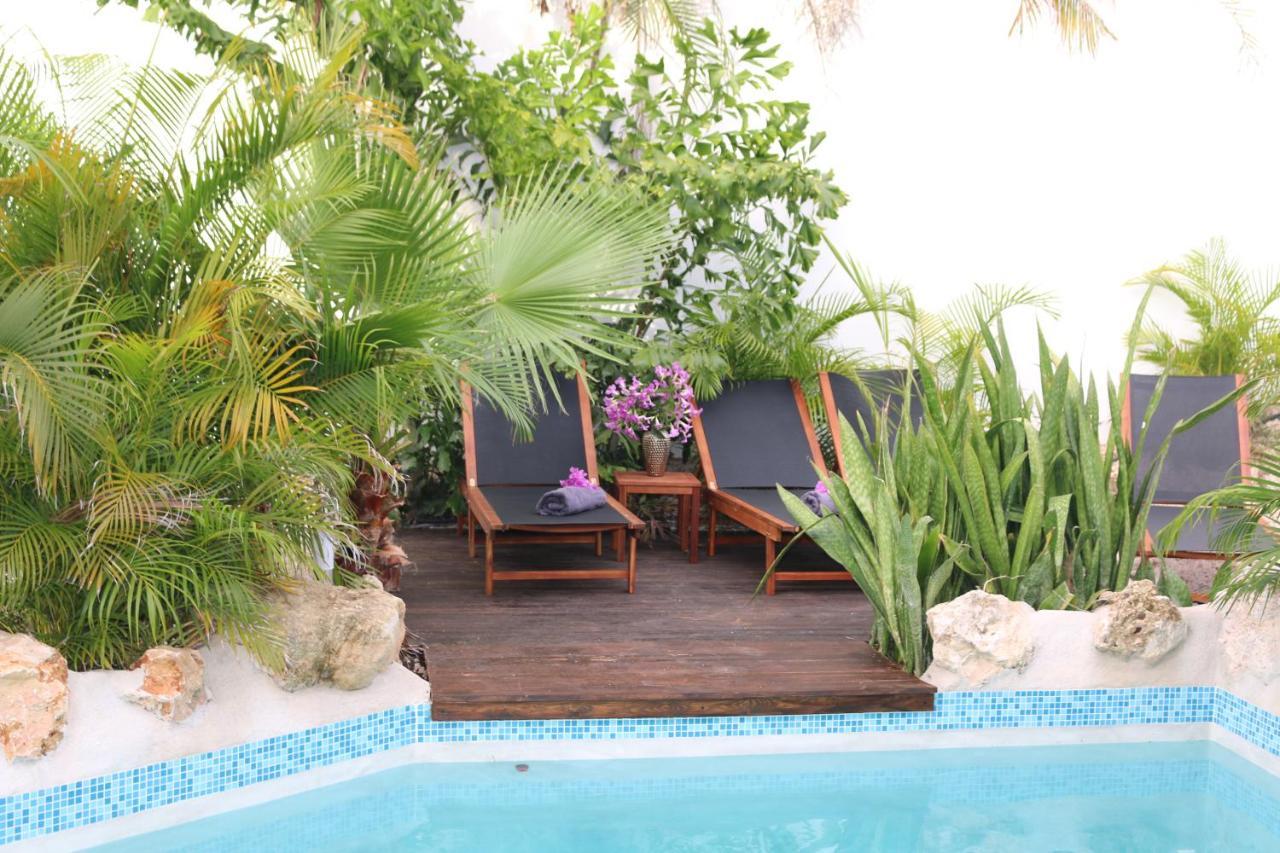 New House Tropic Paradise With Pool Willemstad Exterior foto